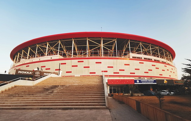 展现了强大 展现了强大