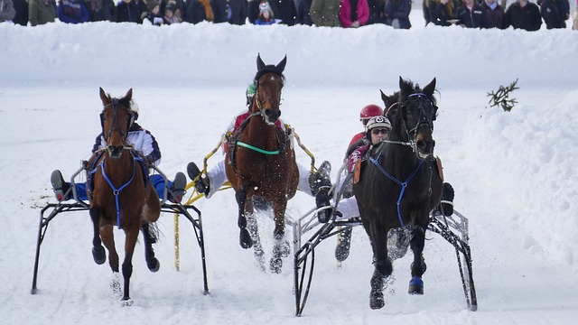 上海海港甚 上海海港甚