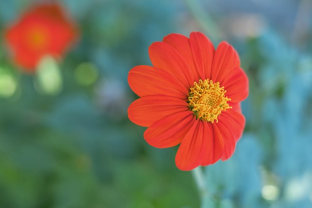 绪以及这场 绪以及这场