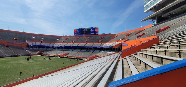 动的冒险 动的冒险