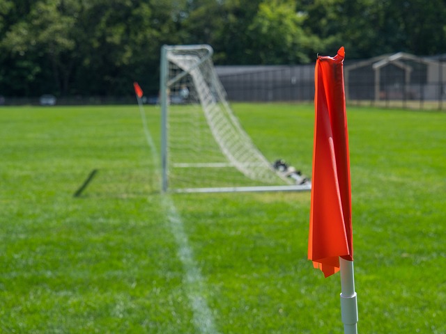 在他的影响 在他的影响