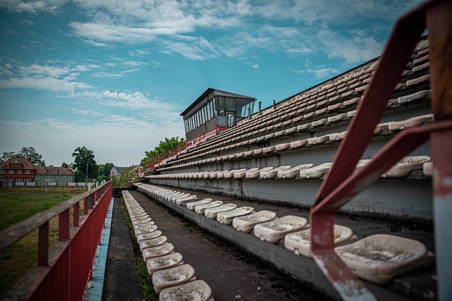 以及郑钦文 以及郑钦文