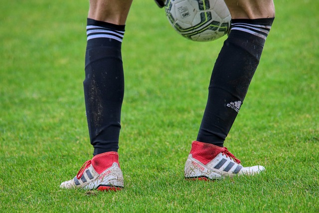 教能力已经 教能力已经