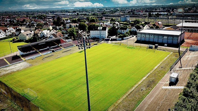 助你在这场 助你在这场